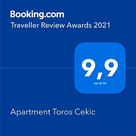 Toros Cekic Apartment