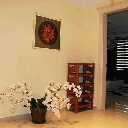 Toros Cekic Apartment